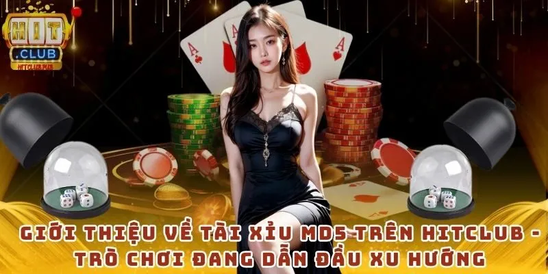 Giới thiệu về tài xỉu MD5 trên Hitclub - Trò chơi đang dẫn đầu xu hướng