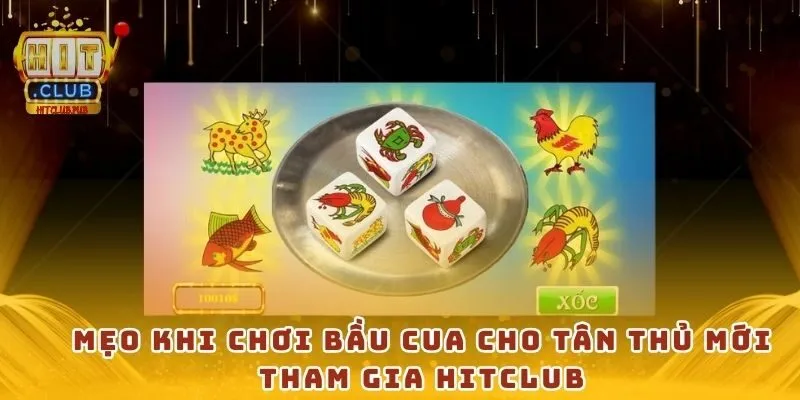 Mẹo khi chơi Bầu cua cho tân thủ mới tham gia Hitclub