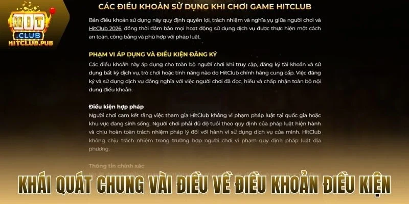 Khái quát chung vài điều về điều khoản điều kiện