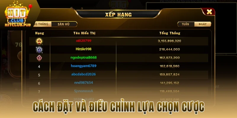 Cách đặt và điều chỉnh lựa chọn cược