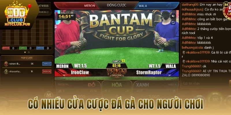 Có nhiều cửa cược đá gà cho người chơi