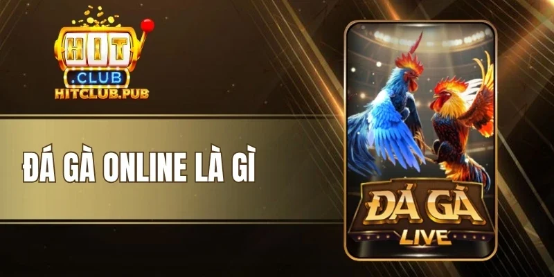 Đá Gà Online Là Gì - Cược Chọi Kê Tiện Lợi Và Thưởng Cao