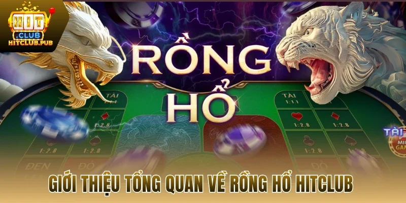 Giới thiệu tổng quan về rồng hổ Hitclub 