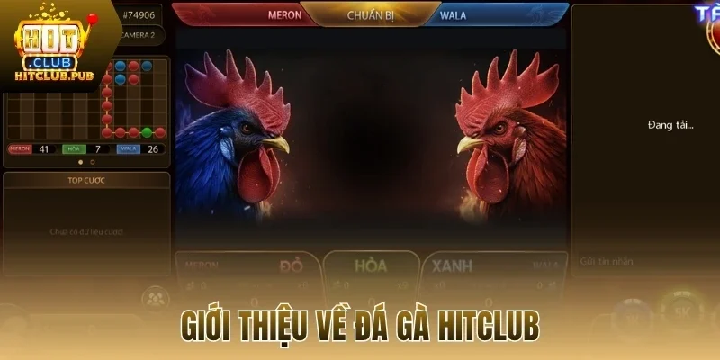 Giới thiệu về đá gà Hitclub