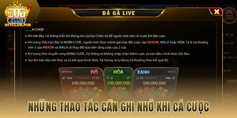 Những thao tác cần ghi nhớ khi cá cược