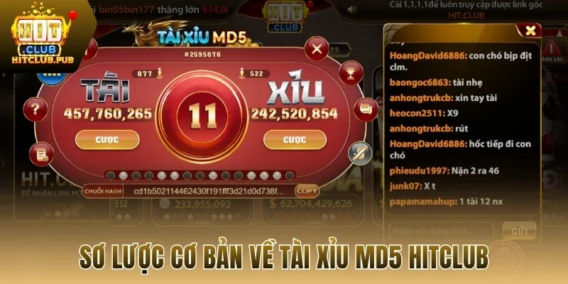 Sơ lược cơ bản về tài xỉu MD5 Hitclub