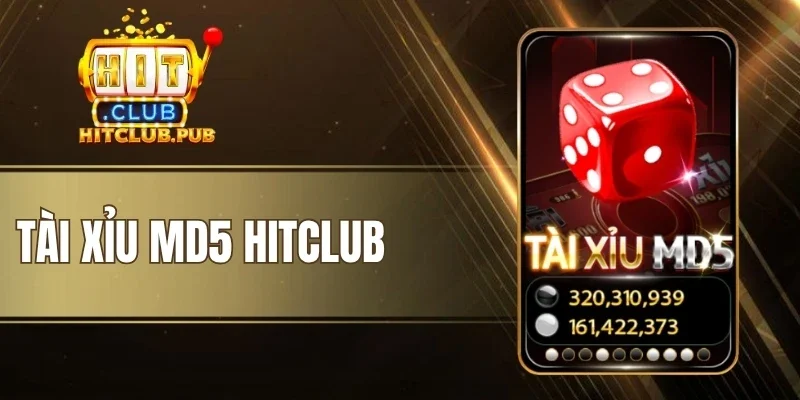 Tài Xỉu MD5 Hitclub - Game Làm Giàu Cùng Các Con Số Xúc Xắc